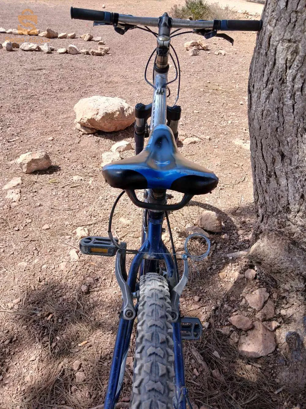 vélo trek  كلش نقي وجديد