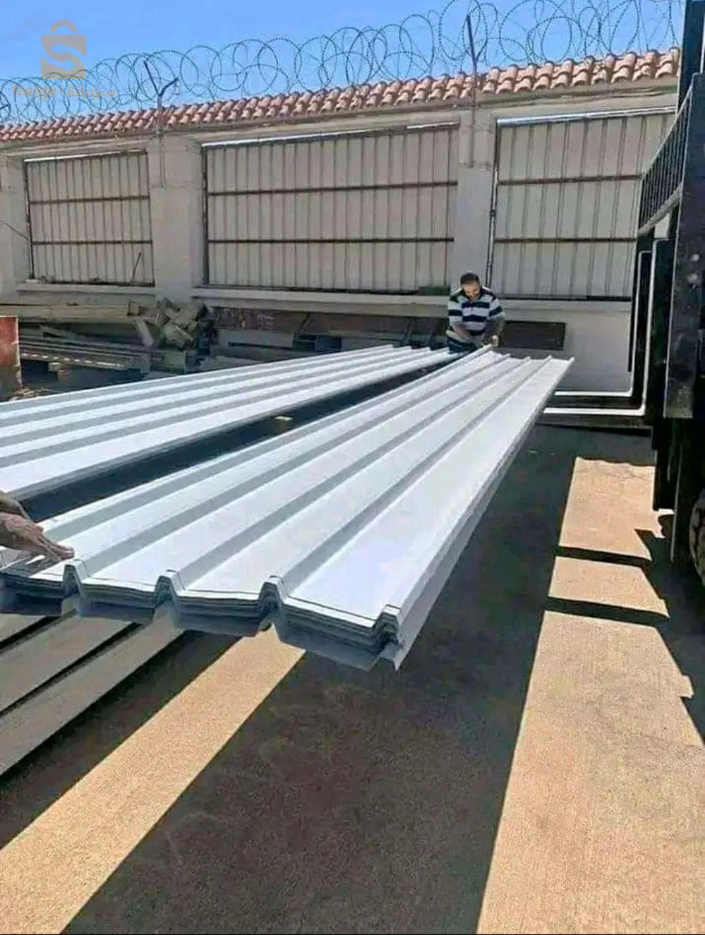 حي الحيدوسي الكاليتوس