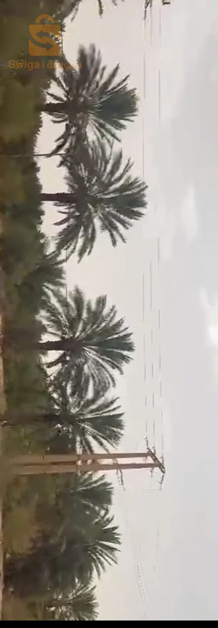 طولقة ولاية بسكرة