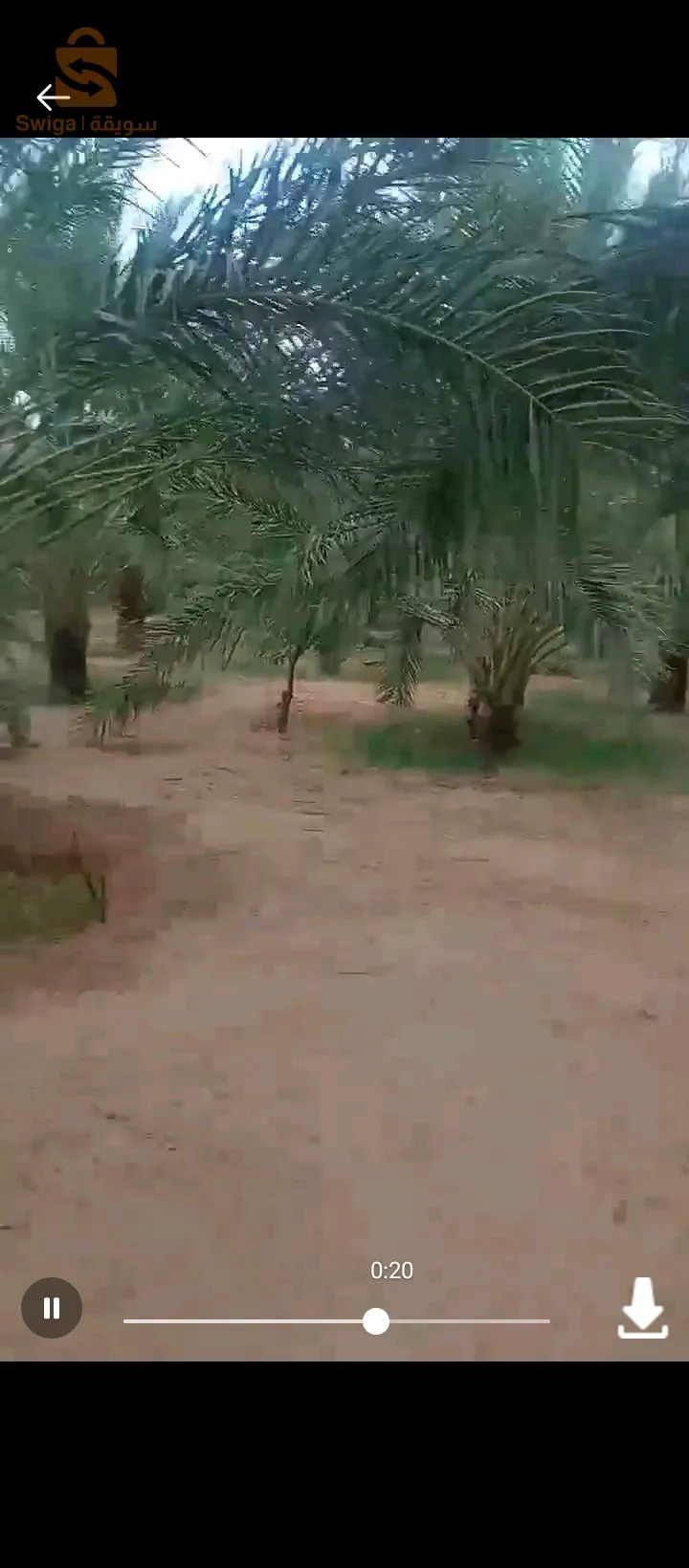 ام الجياف ولاية اولاد جلال