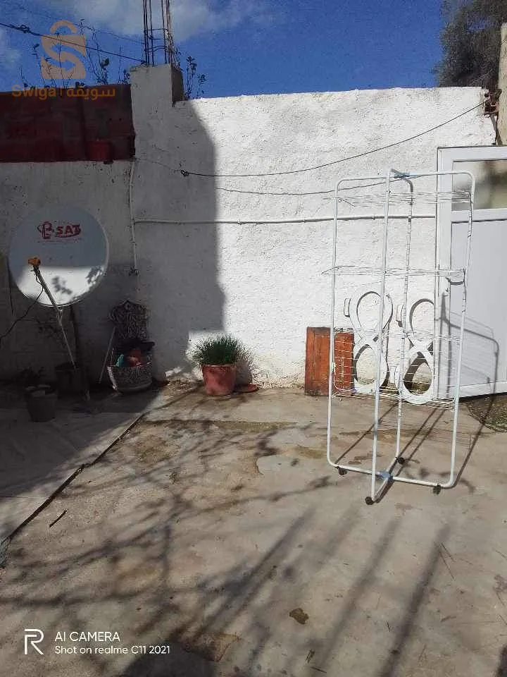 بن دانون
