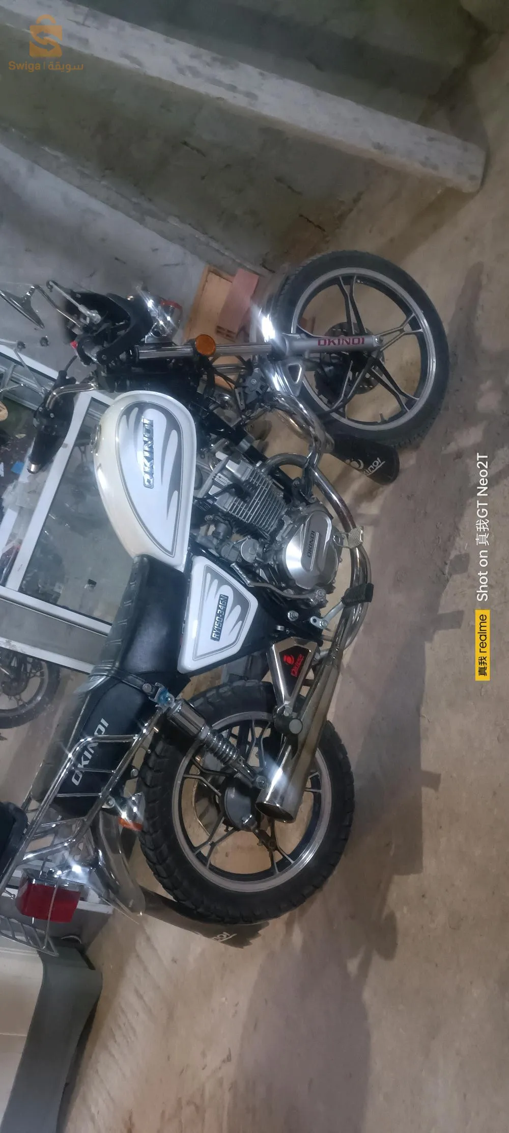 Oeil de laurier-rose