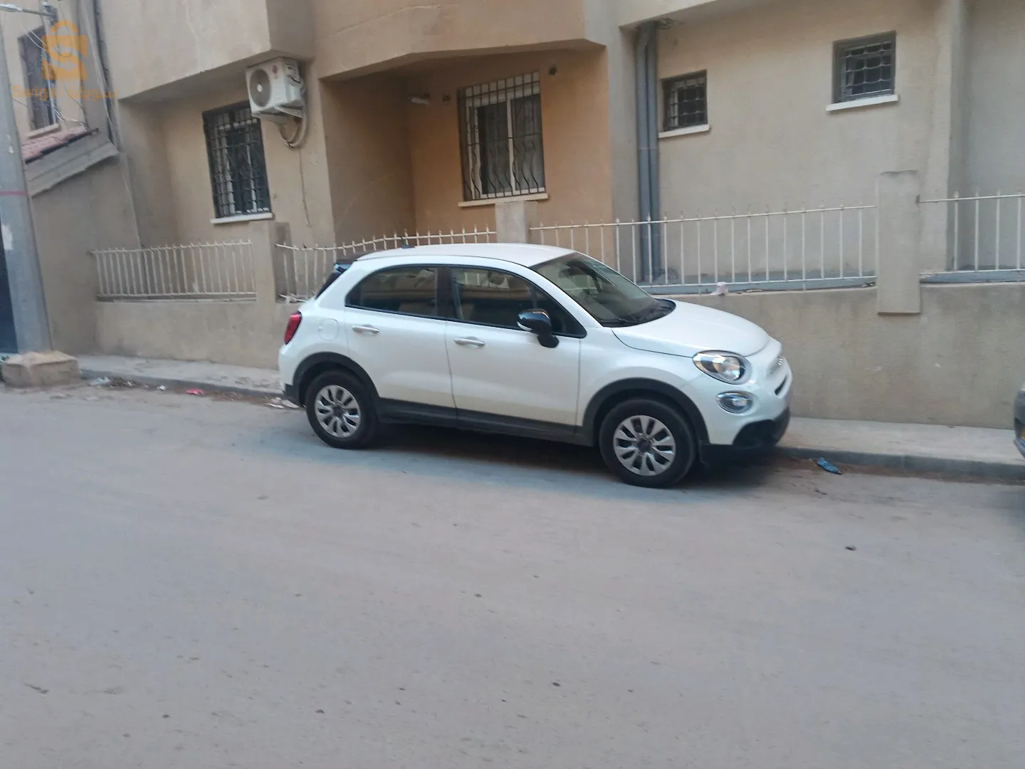 500x cult 2024 blanche