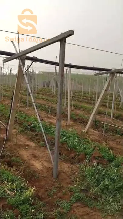 اعمدة اسمنيةخاصة  بسياج 
العنب
التفاح
