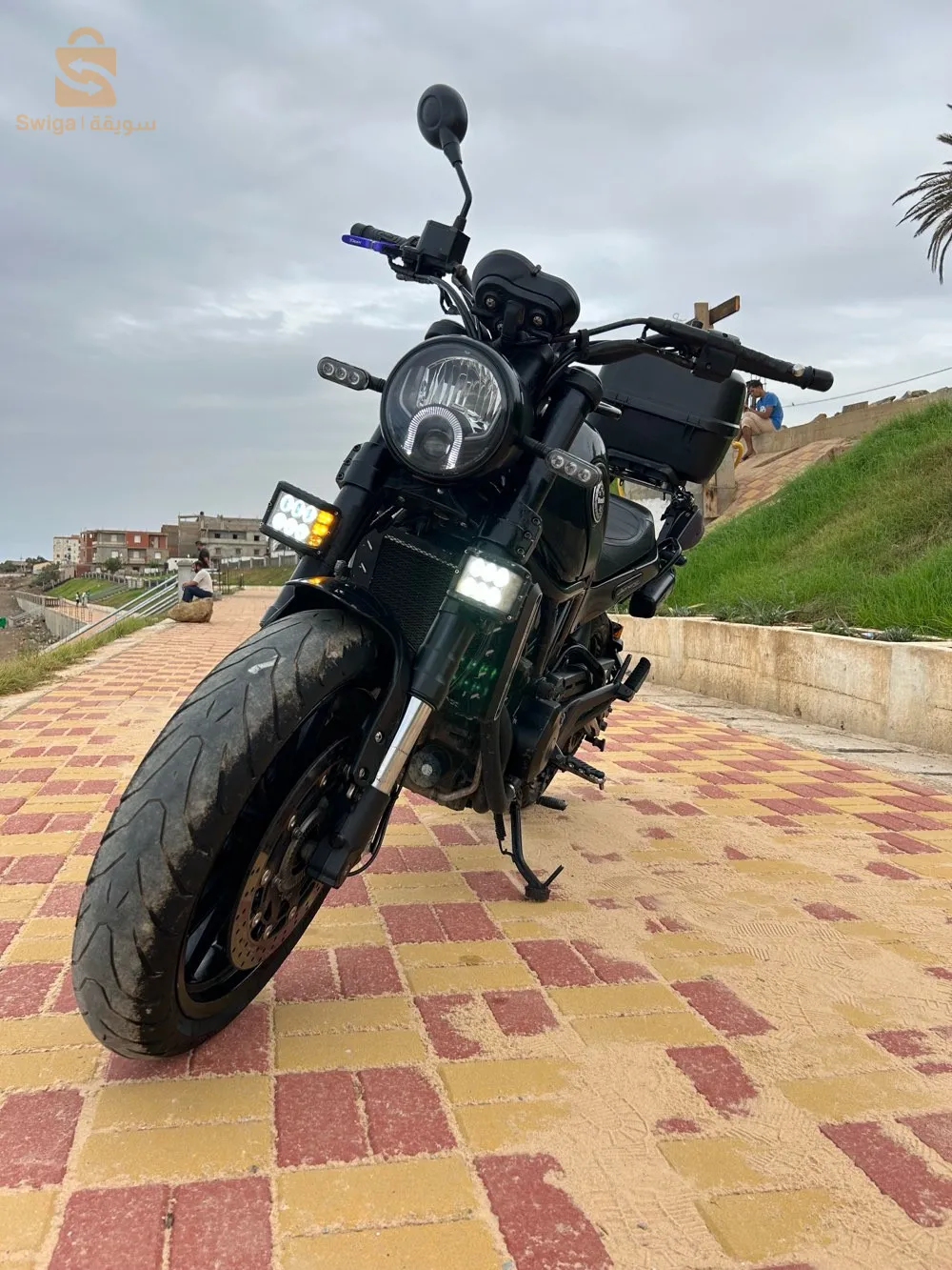 benelli leoncino 500