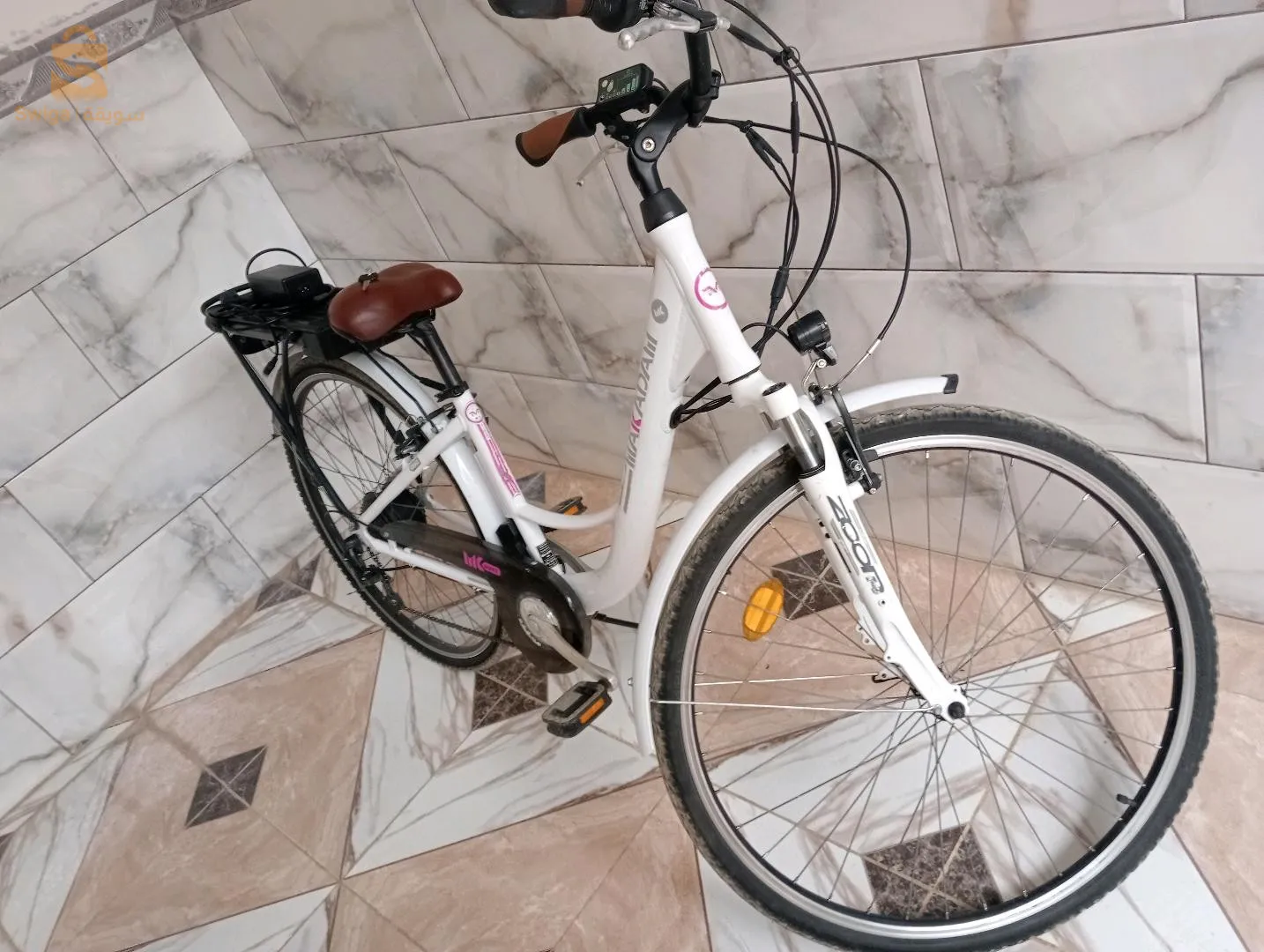 جديوية ولاية غليزان