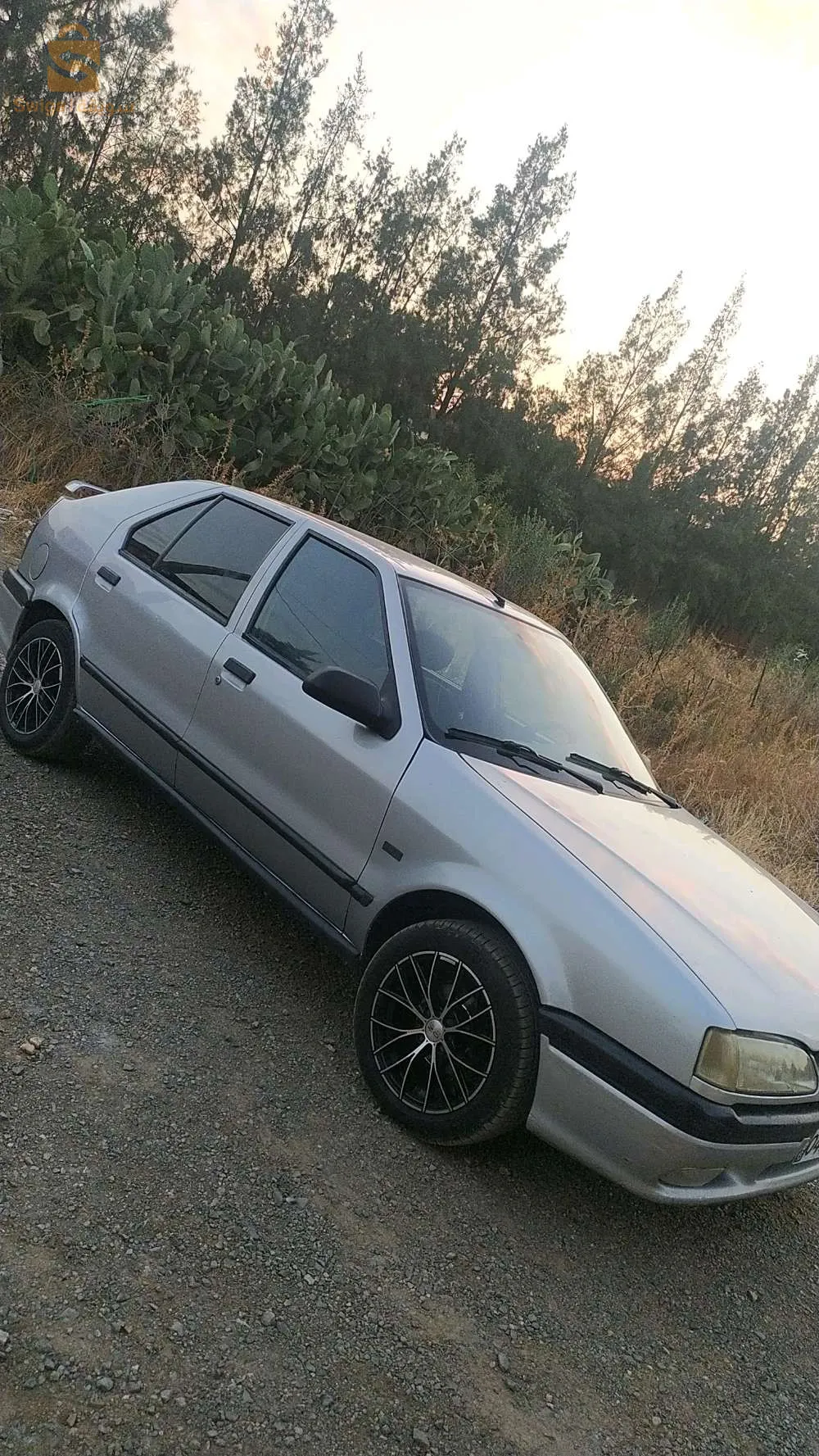 R19