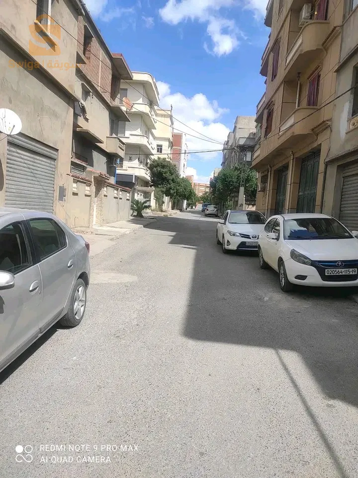 Lahshama is a relative of Rais-Setif