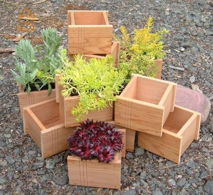 عين البنيان