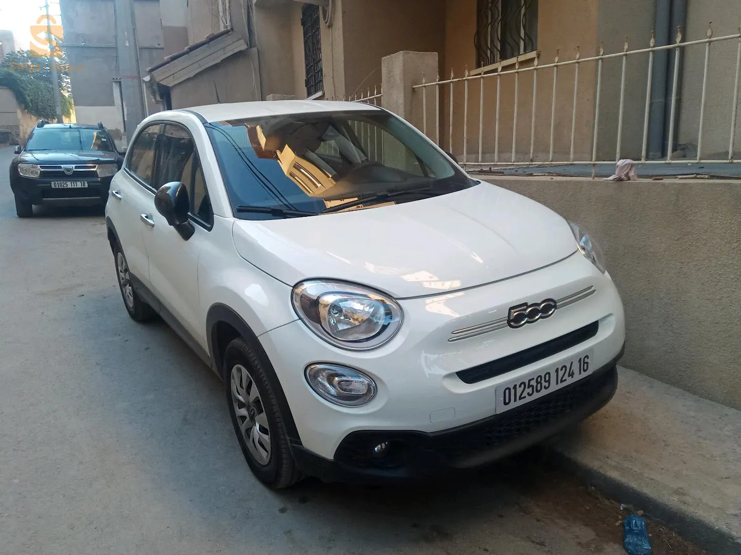 500x cult 2024 blanche