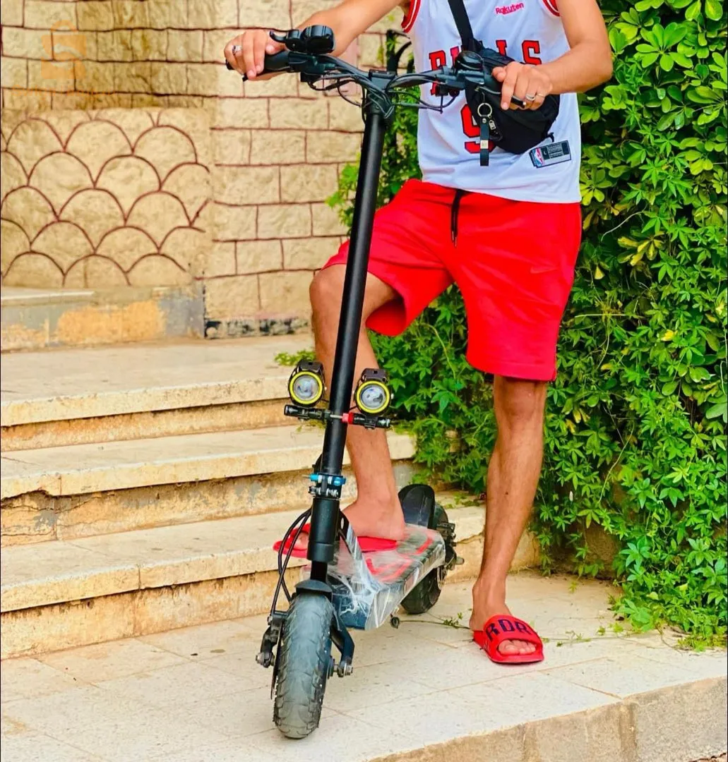 trottinette électrique professionnel kaabo mantis 10 GT V2