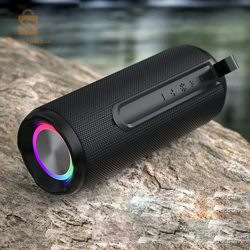 mpli haut parleur sans fil à batterie rechargable 1200mAh, enceint bluetooth 2000W DUNTH DU-SP128