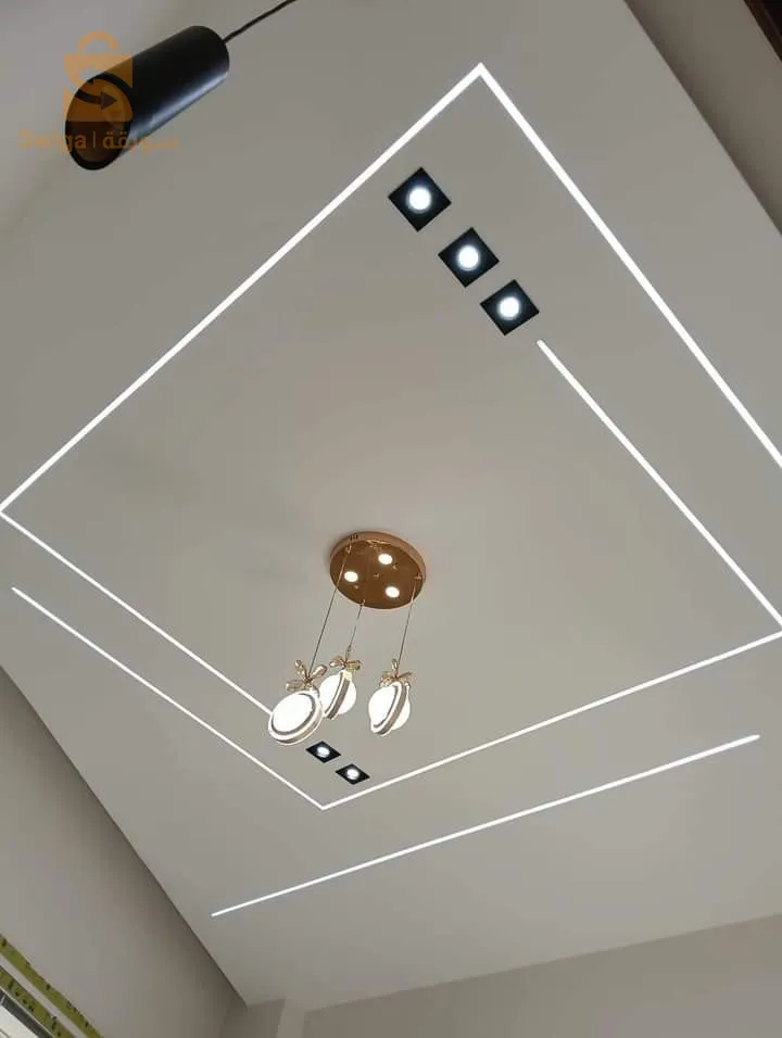 BA13 et électricité et panture