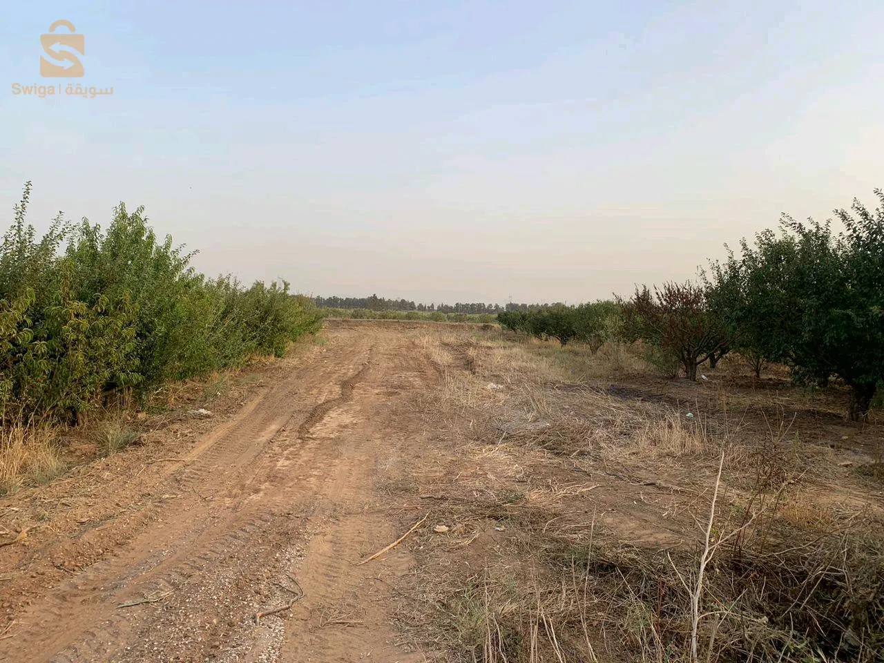 مزرعة فلاحية نموذجية بولاية تيبازة للبيع