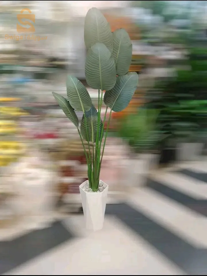 store ferdjani de flour