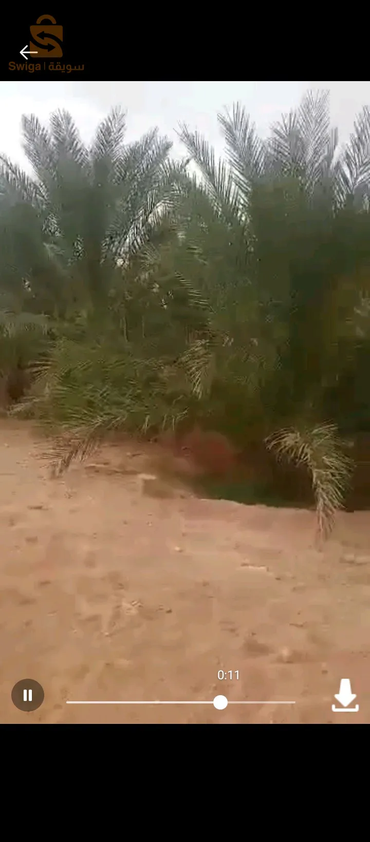 ام الجياف ولاية اولاد جلال