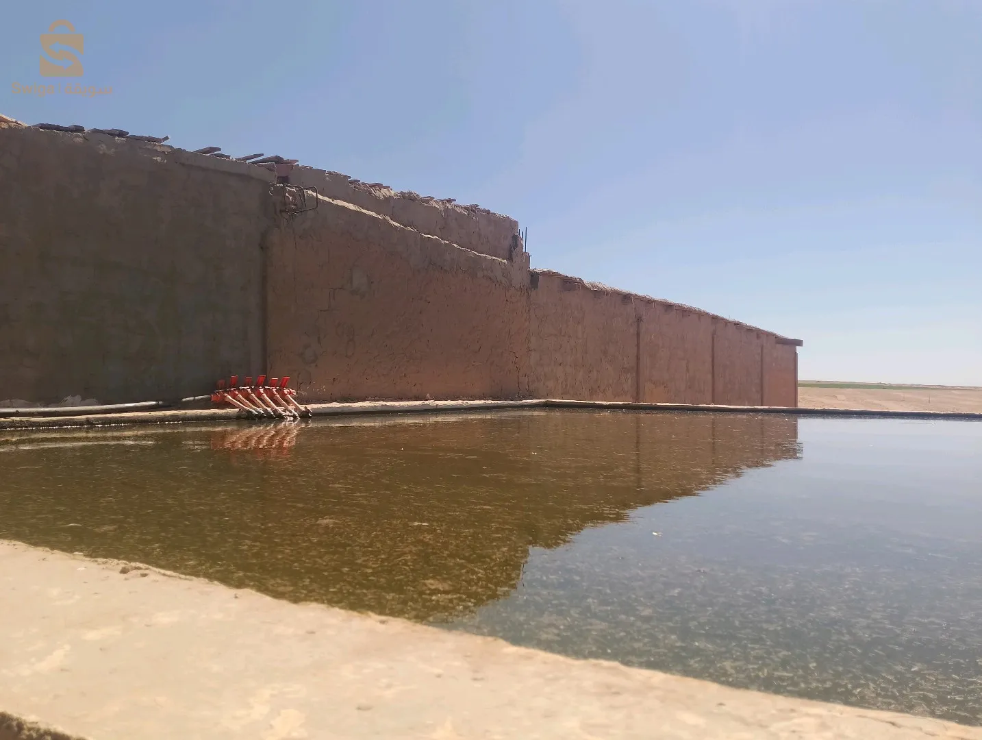 29هكتار عقد ملكي