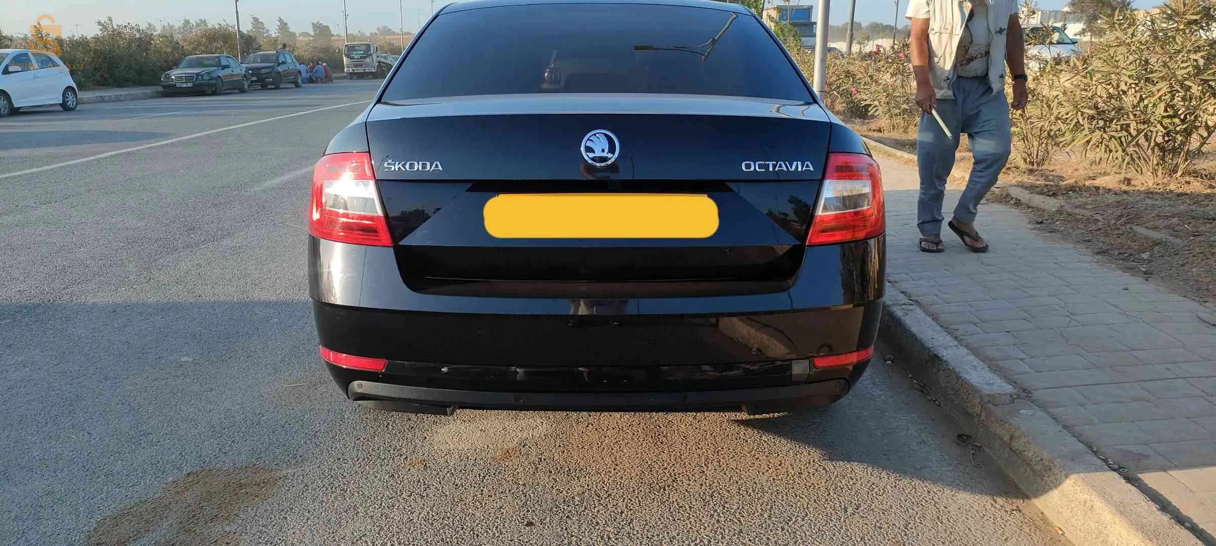 سكودا اوكتاڤيا