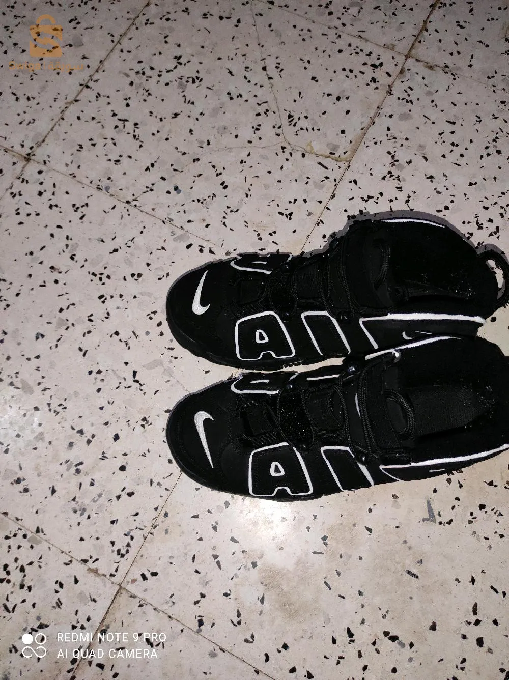 بوشقوف قالمة