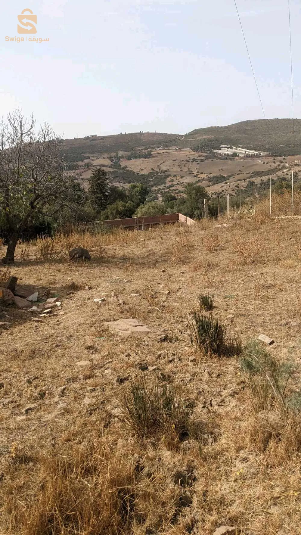 بيع قطعة أرض في مفتاح بلدية جبابرة ولاية البليدة 13أر ؟1300 مترا