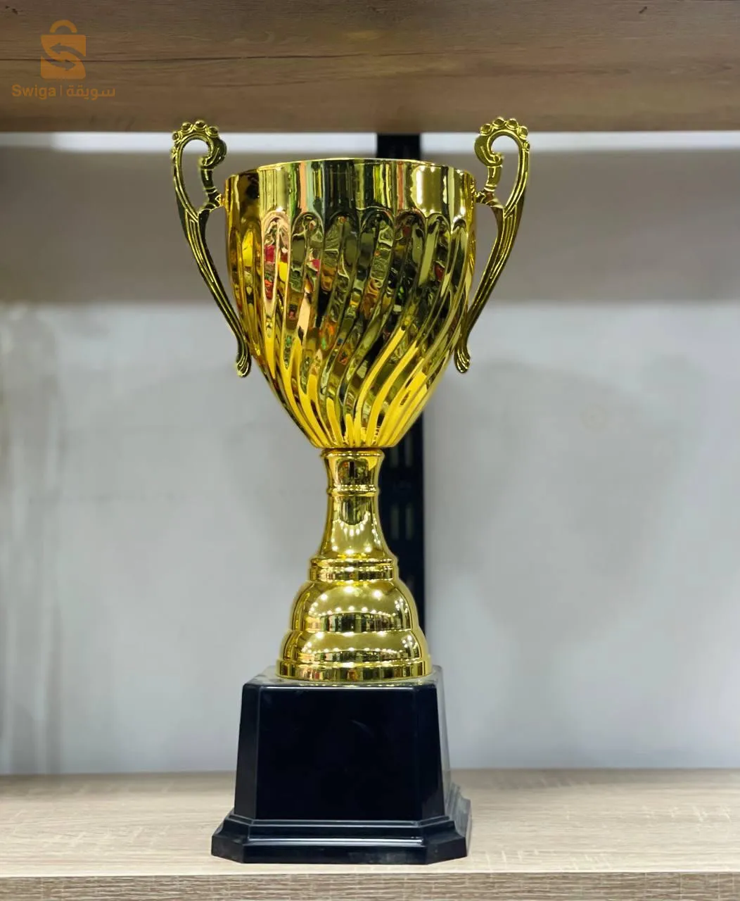 كأس البطولة