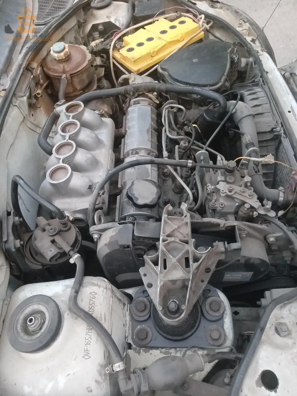0664 646895