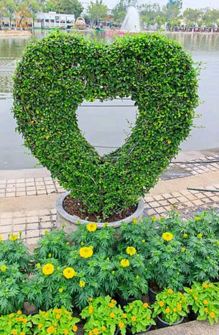 Décoration de jardin