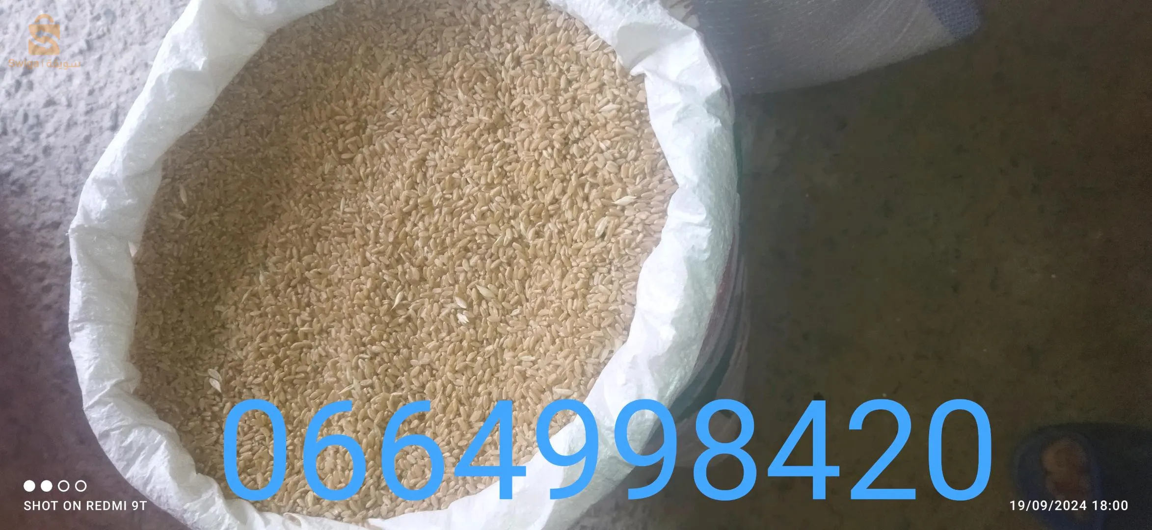 بلدية حرازة