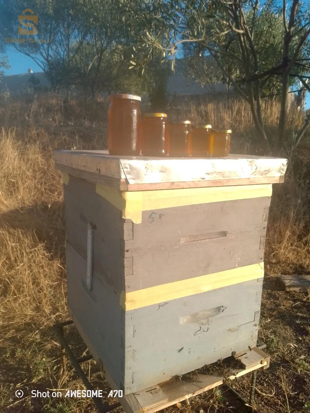 honey