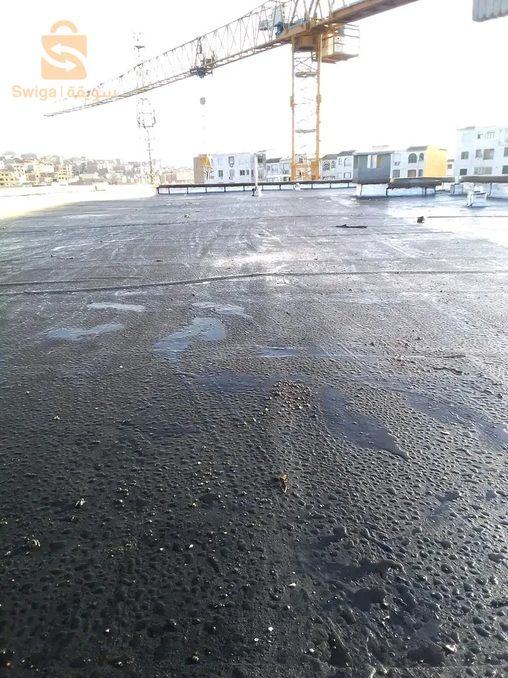 Constantin Constantin