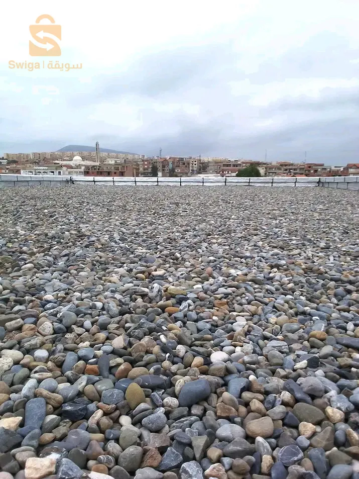 قسنطينة قسنطينة