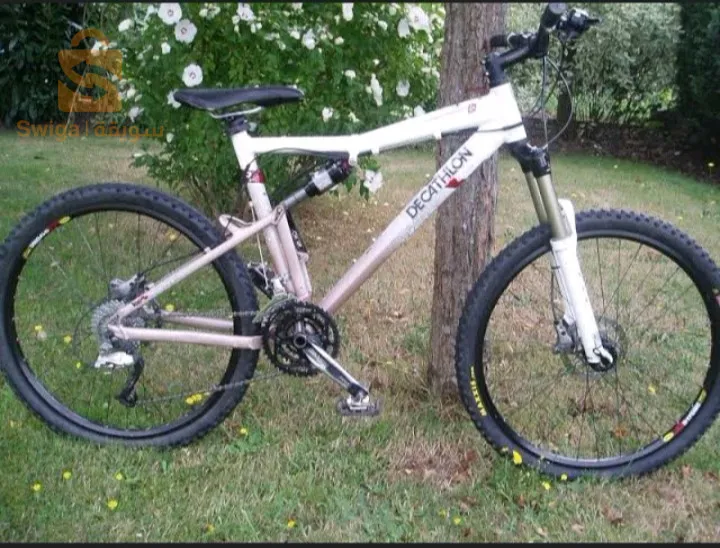 نبدل بتروتينات إليكتريك