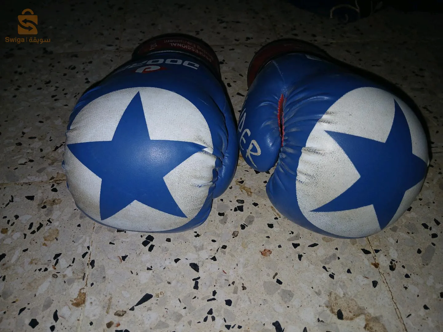 Igon king boxing