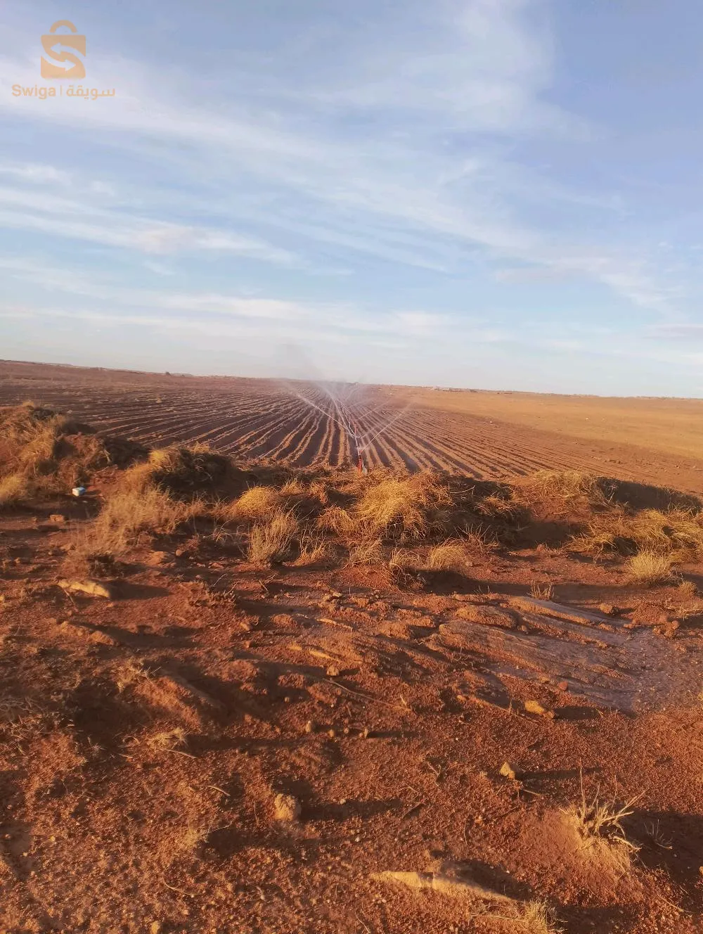 29هكتار عقد ملكي