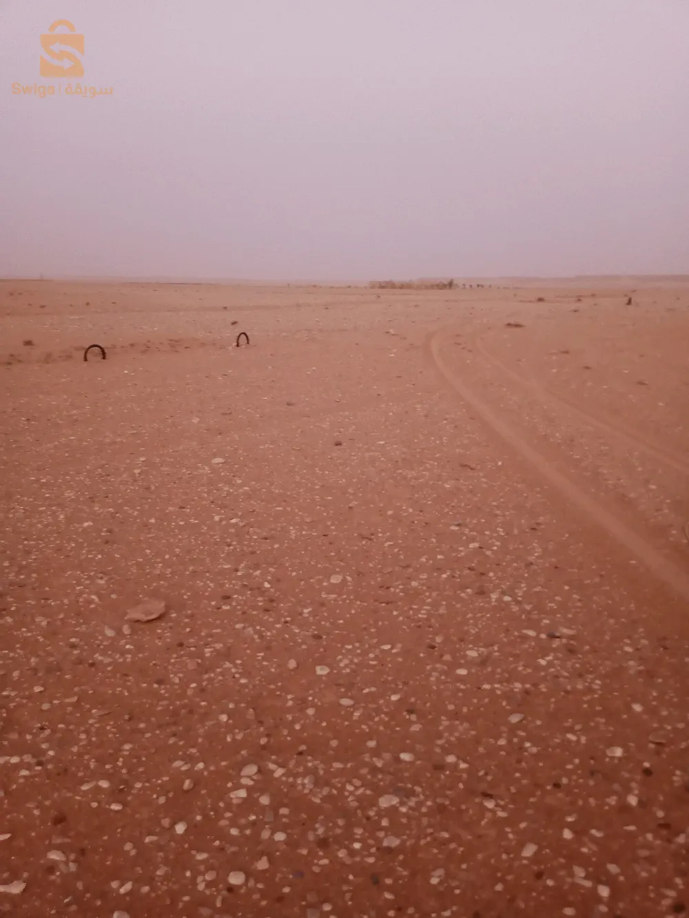 القطاع ولاية اولاد جلال