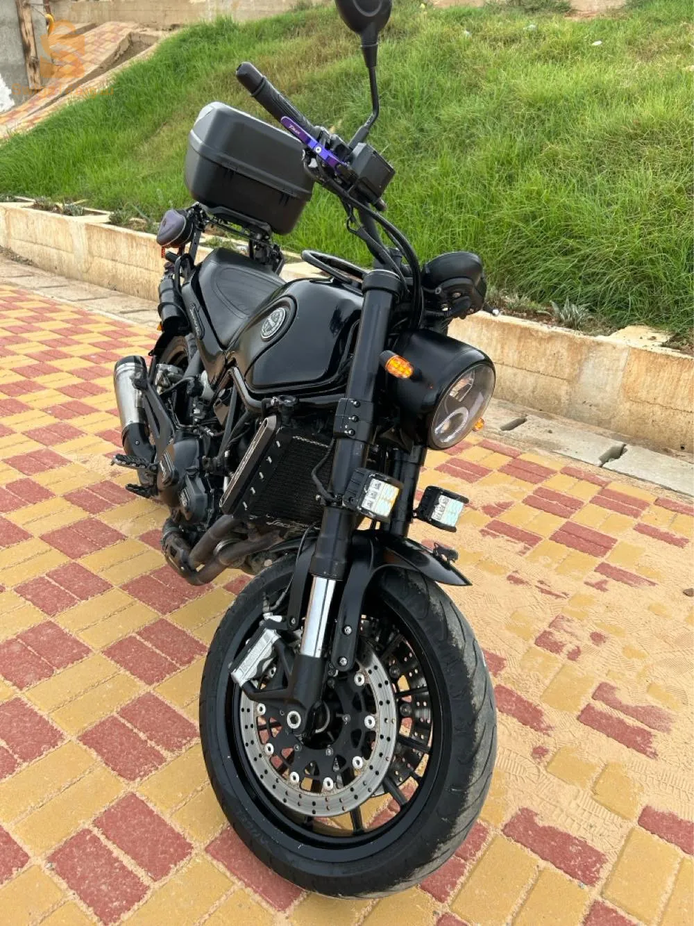 benelli leoncino 500