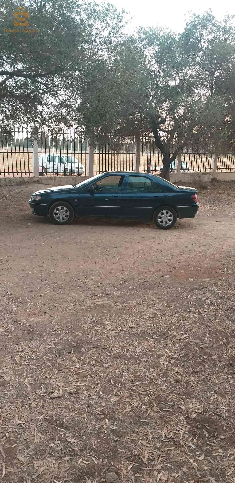 بيجو 406 1997 16 الجزائر