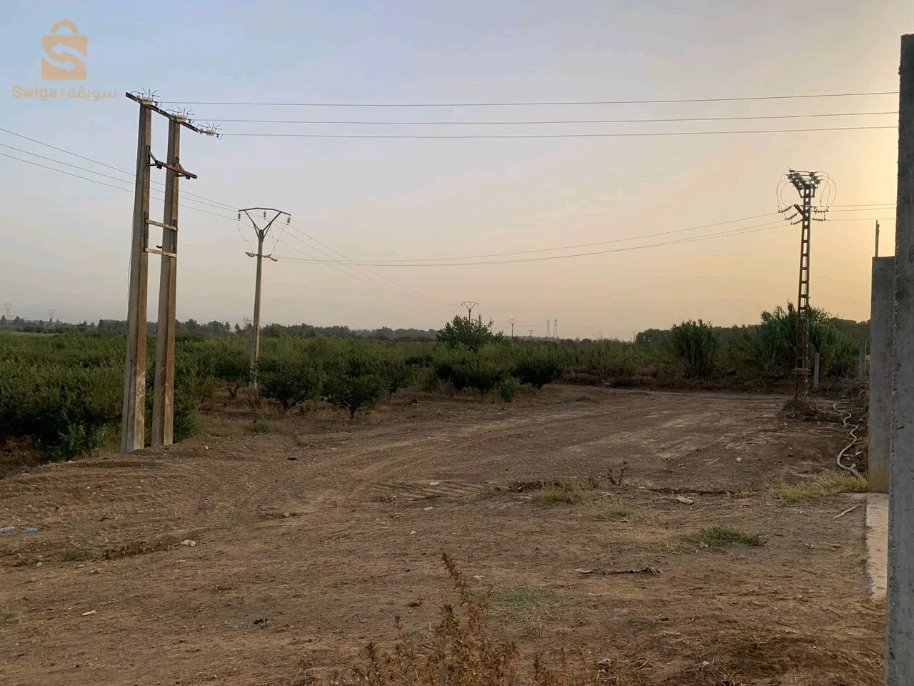 مزرعة فلاحية نموذجية بولاية تيبازة للبيع