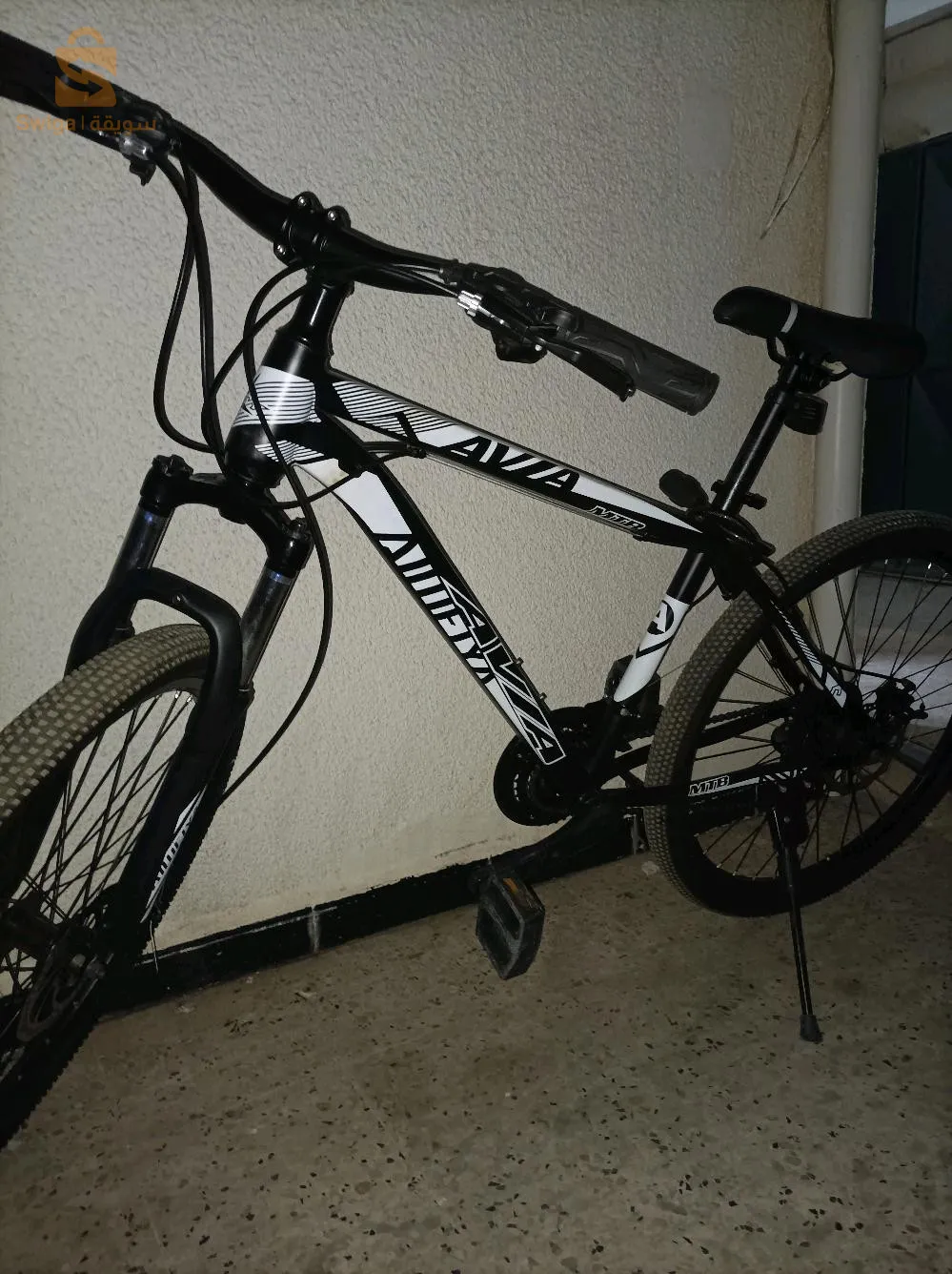 الجزائر بابا حسن