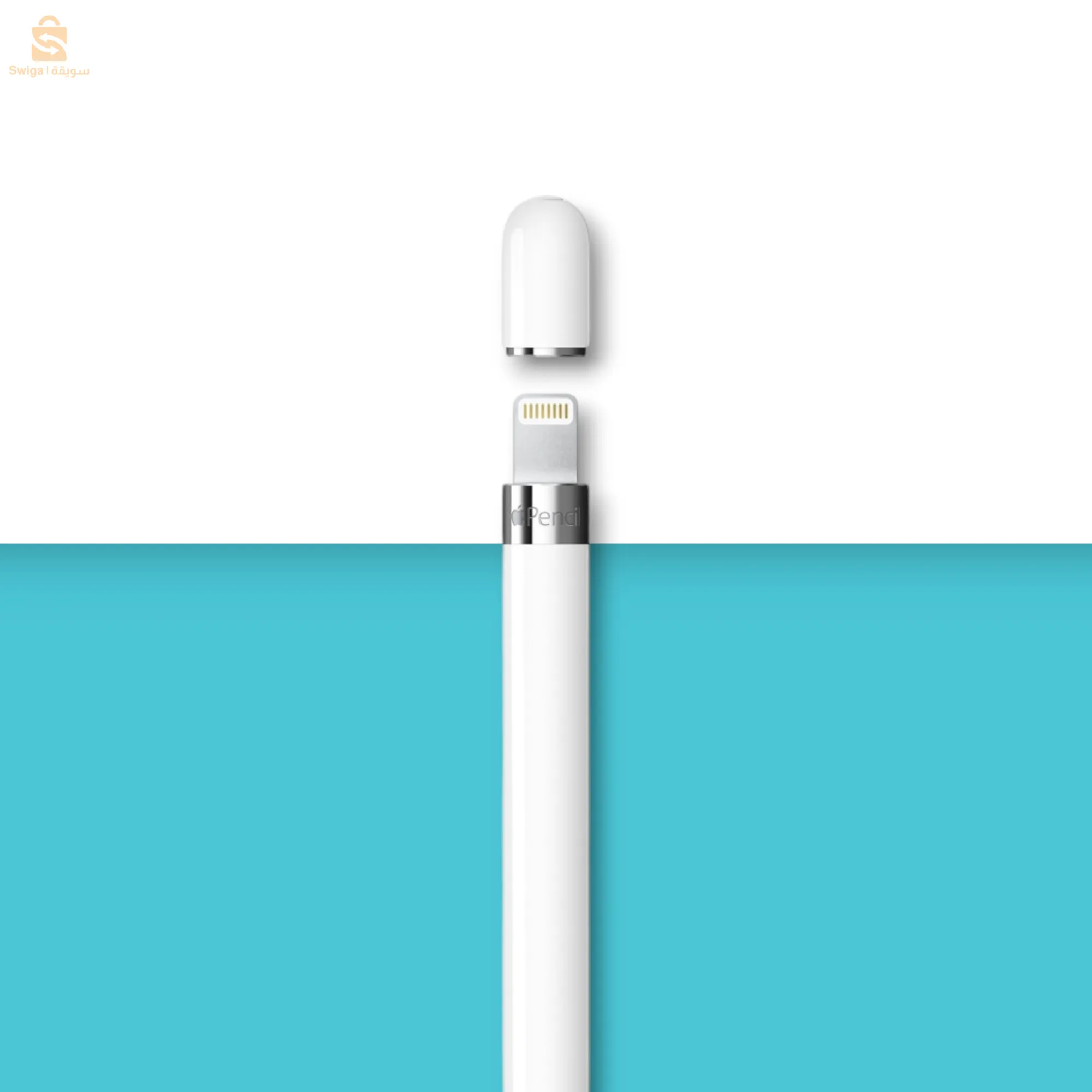 ✅ Apple Pencil 1