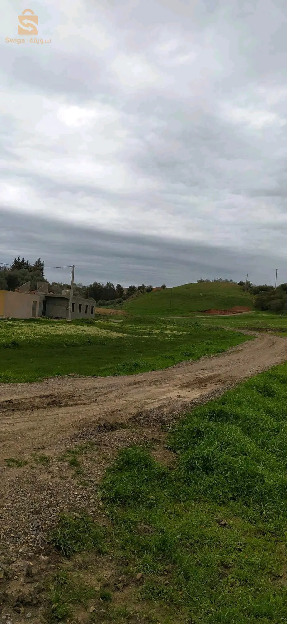 منطقة النسيس