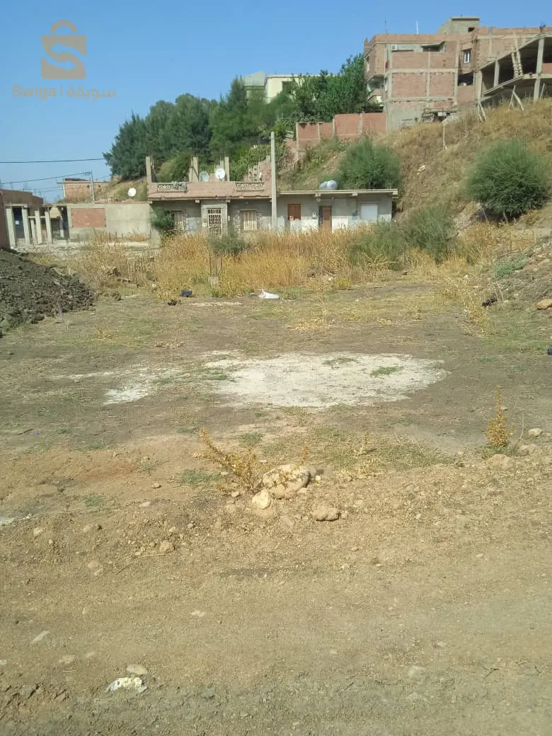 🔻سلام عليكم🔻🔻عندي قطاع اراضي صالحة للبناء في لاسيتي نوفال بوڨرة يوجد قطاع كثيرة عقد ودفتر عقاري فيها الماء 💦 و الغاز ⚡ و الكهرباء ⚡200 مليون 100 متر🔻0540796148 🔻🔻وعندي قطاع اراضي صالحة للبناء في رميلي اولاد سلامة يوجد قطاع كثيرة بابي تمبري  ✅plan de masse.      Plan de partage + acte global + négative +de copie de fiche + frida فريضة الكتابة عند الكاتب عمومي 140 مليون 100 متر للار🔻0840796148🔻