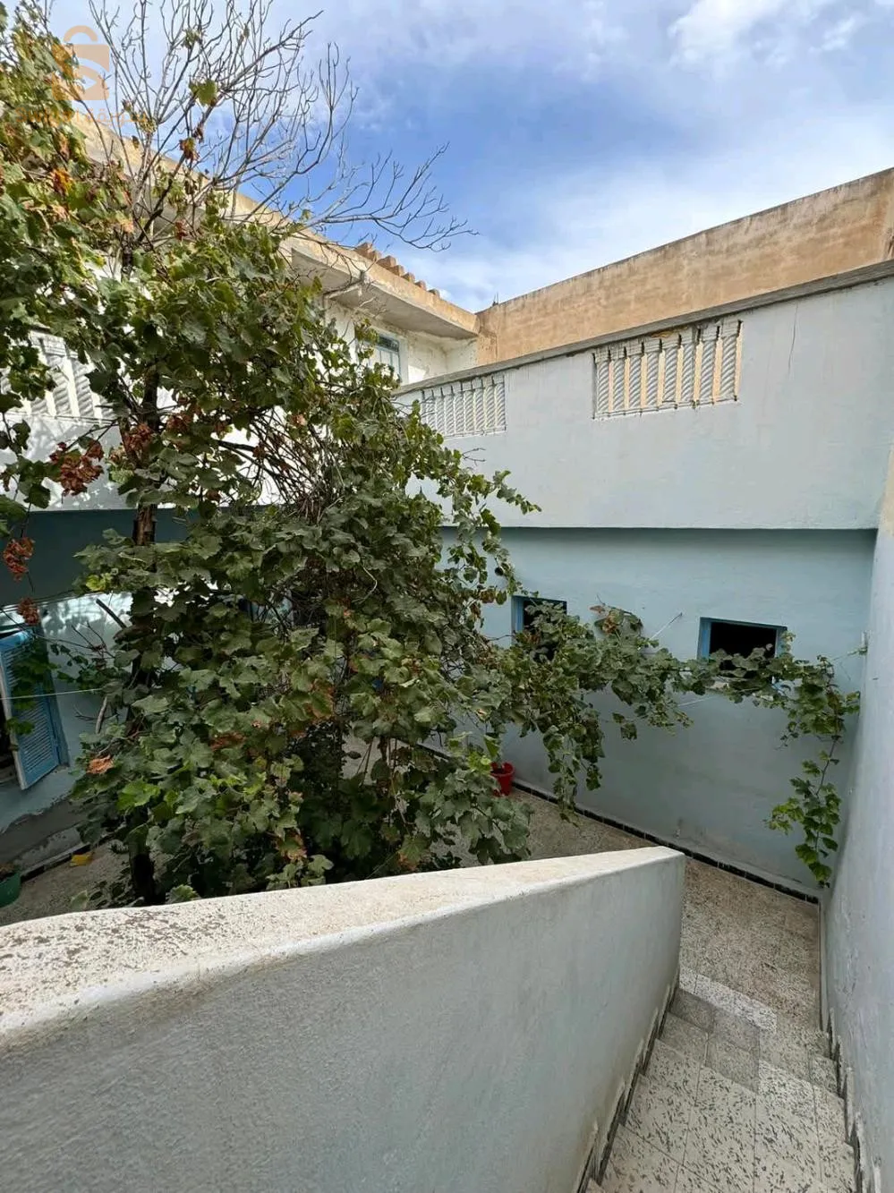 city de la zawya près de masjed saadi sedik