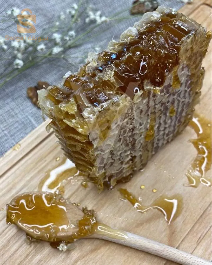 شهد العسل النقي من جبال الشرق الجزائري