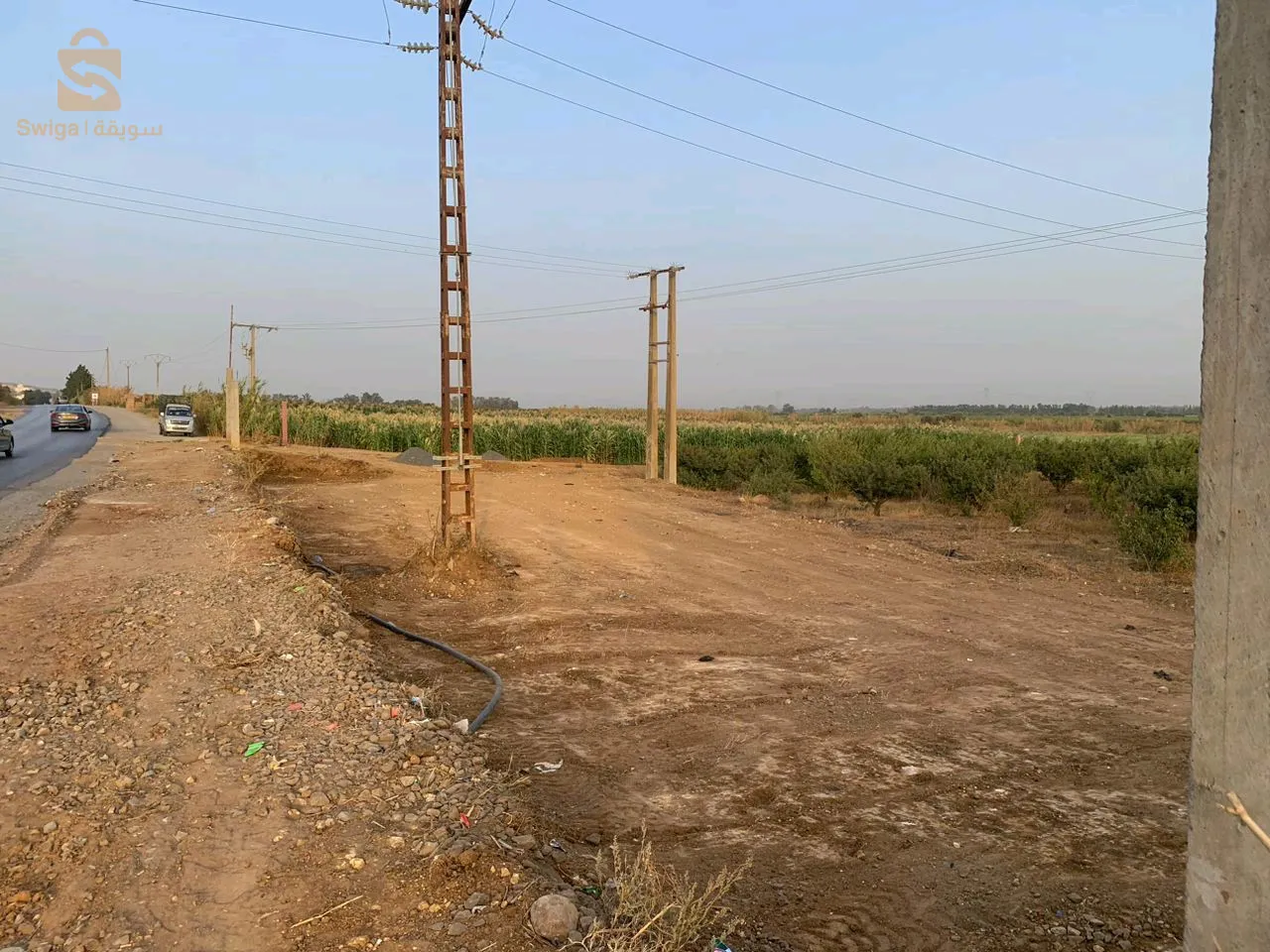 مزرعة فلاحية نموذجية بولاية تيبازة للبيع