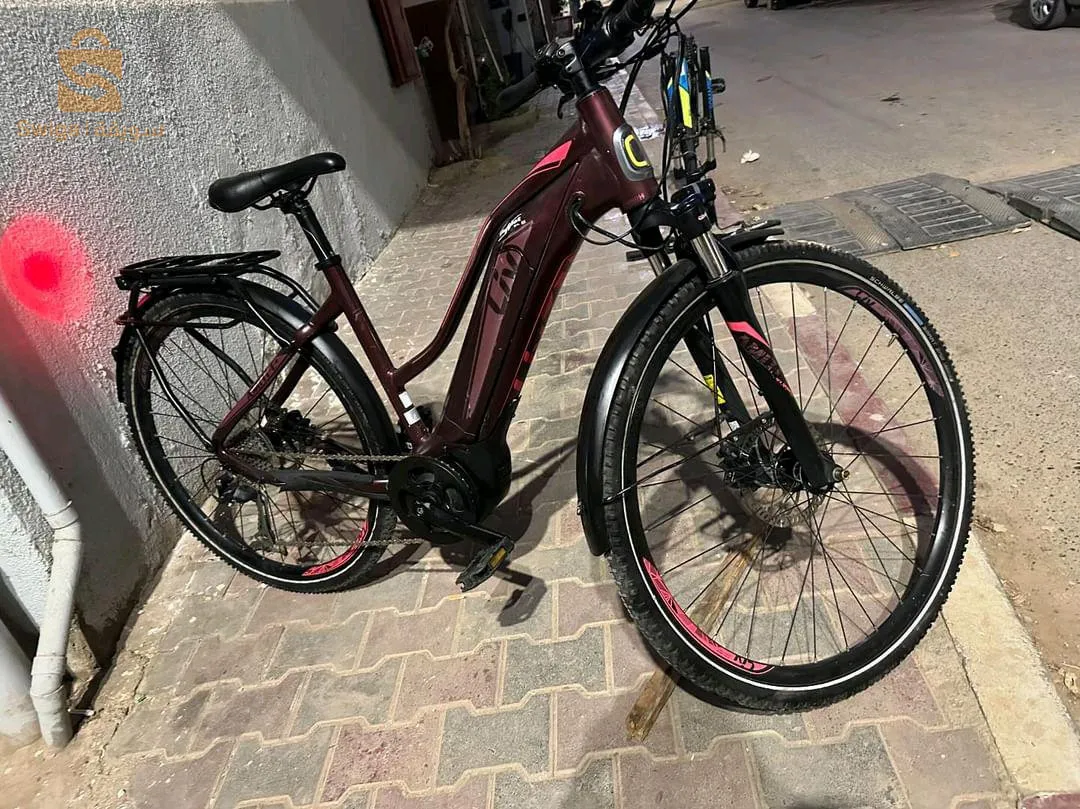 velo electric ⚡⚡