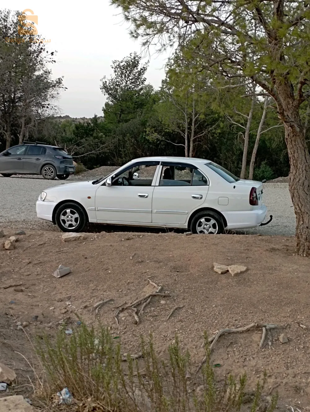 خنشلة