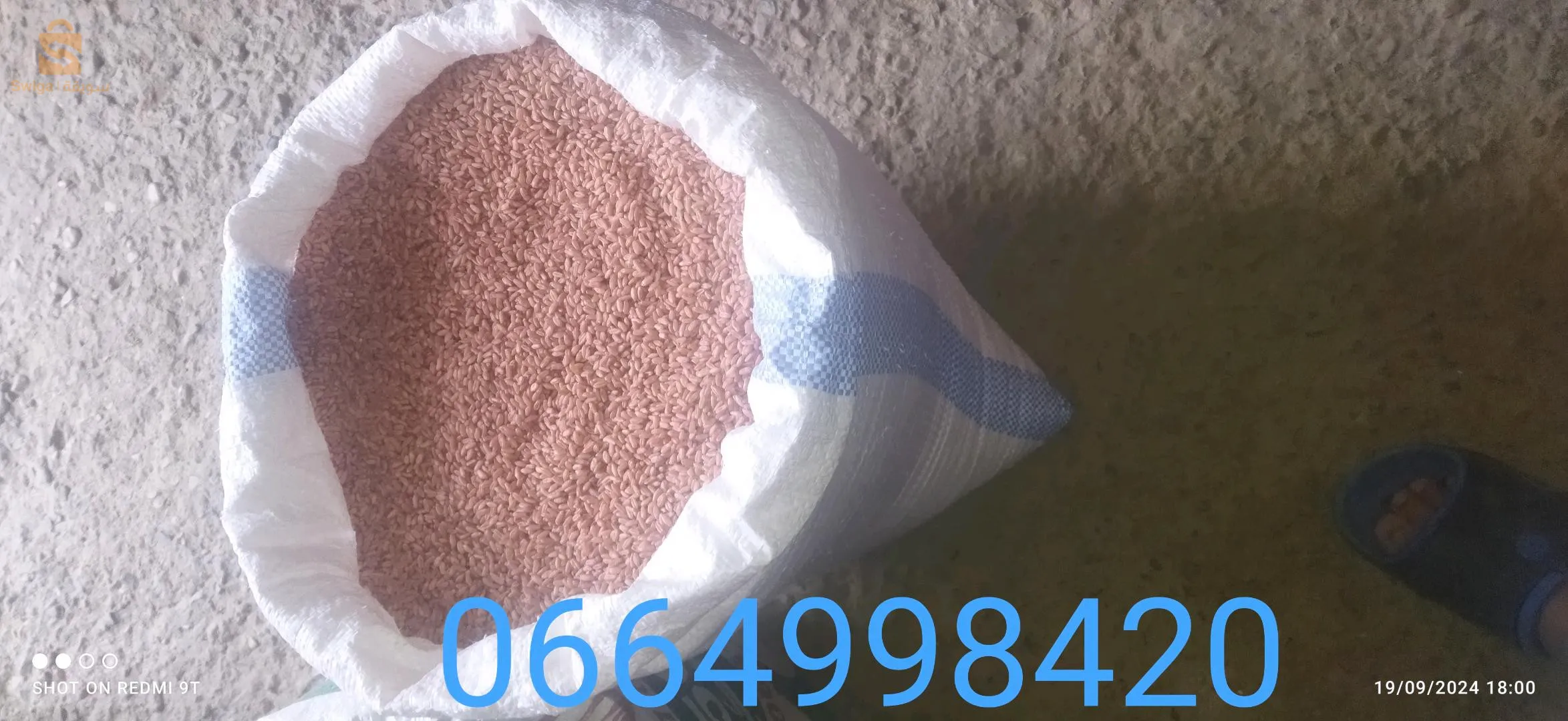 بلدية حرازة