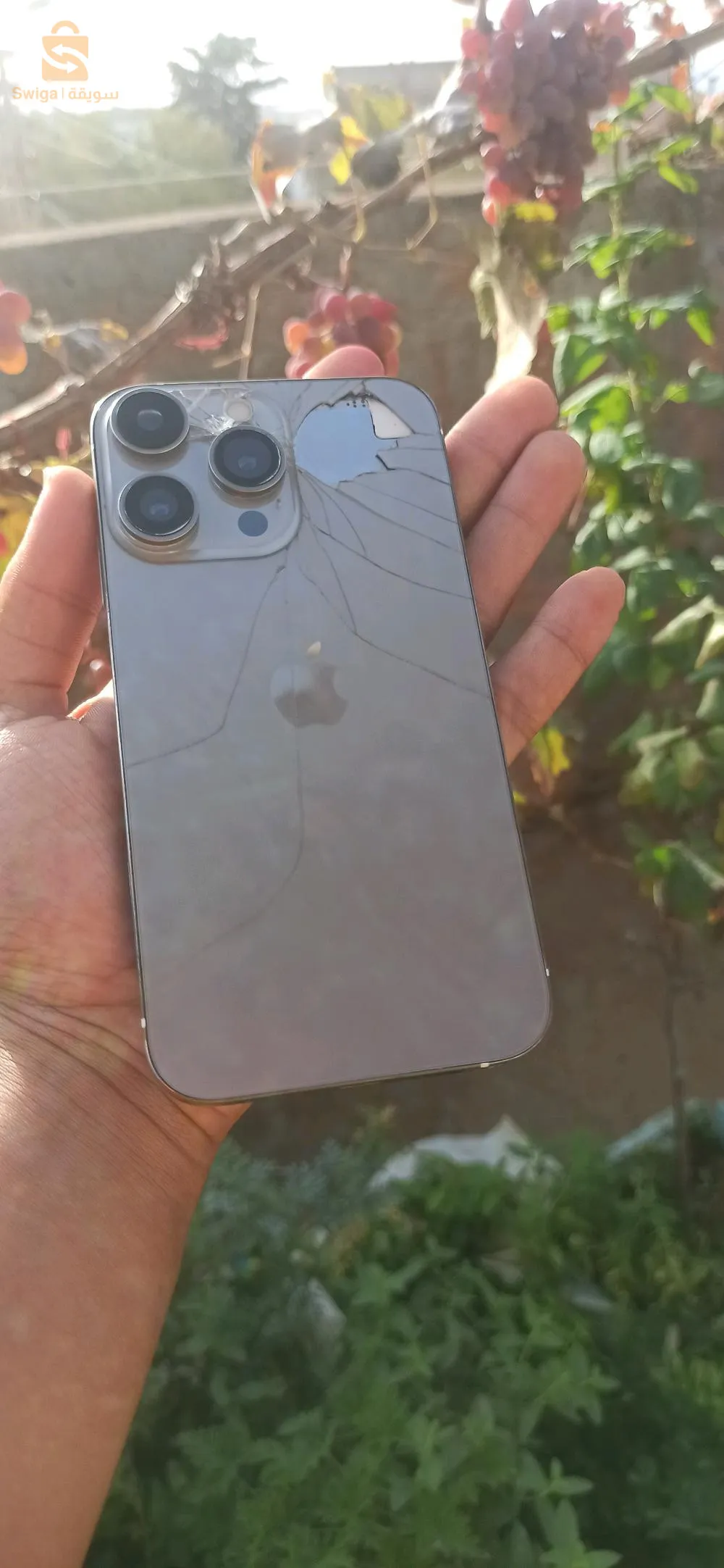 iphone xr dans la coque d'iphone 15 pro