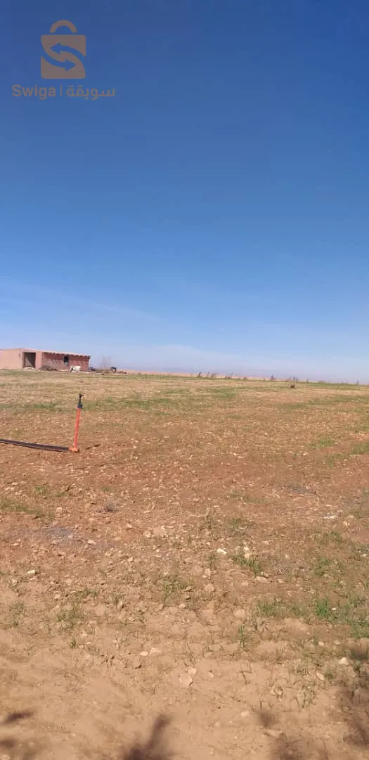 May God’s peace, mercy, and blessings be upon you Agricultural land for sale, Ain and Sarah, Al-Serso area, Djelfa state, land area 10 hectares, contains: housing + small Korean tank (water) Documents: real estate booklet 0673010552 0775812376 Interested person can contact the phone number